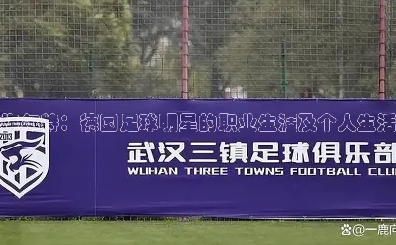 乐虎唯一)官网百度搜索资源平台梅尔特：德国足球明星的职业生涯及个人生活
