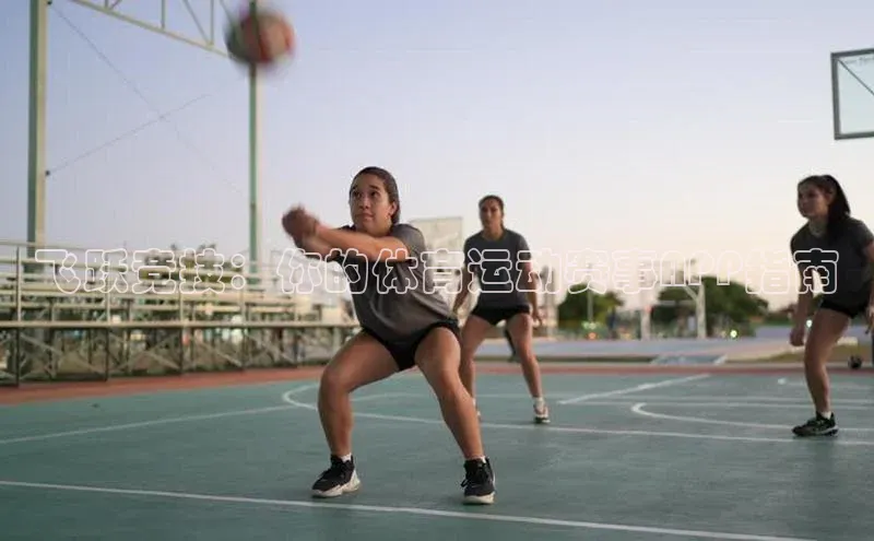 乐虎网页版登录入口百度网盘企业版飞跃竞技：你的体育运动赛事APP指南