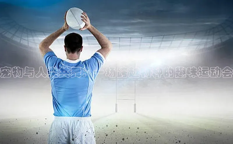 宠物与人类共舞：一场跨越物种的趣味运动会