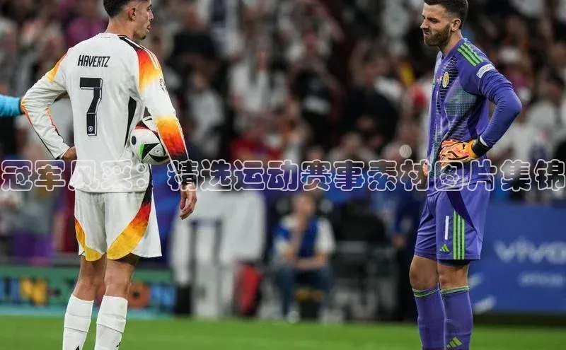 冠军风采：精选运动赛事素材图片集锦