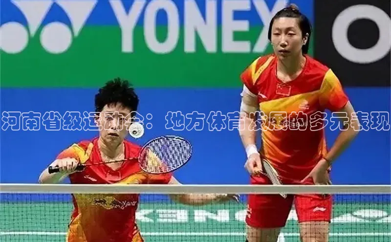 河南省级运动会：地方体育发展的多元表现