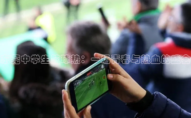 东莞中学生篮球热：一场青春与热血的盛会