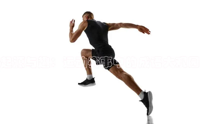 起源与趣：运动赛事中的成语大观园