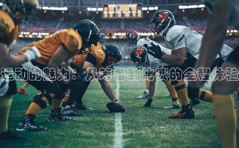 运动的魅力：从筹备到比赛的全程体验