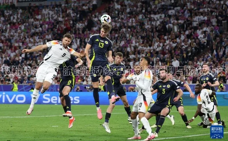 飞翔的艺术：航空运动赛事的创意策划与执行方案