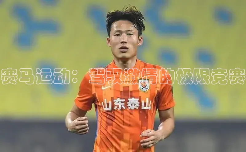 赛马运动：驾驭激情的极限竞赛