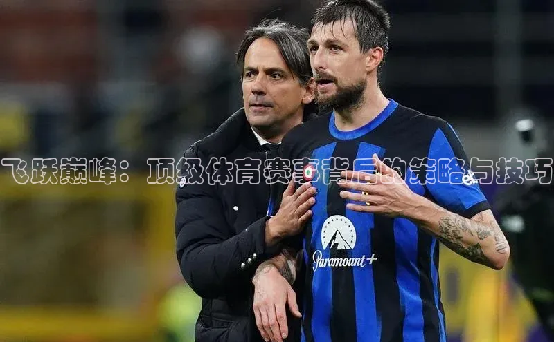 飞跃巅峰：顶级体育赛事背后的策略与技巧