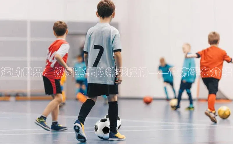 运动世界：校园赛事的精彩瞬间——官方平台介绍