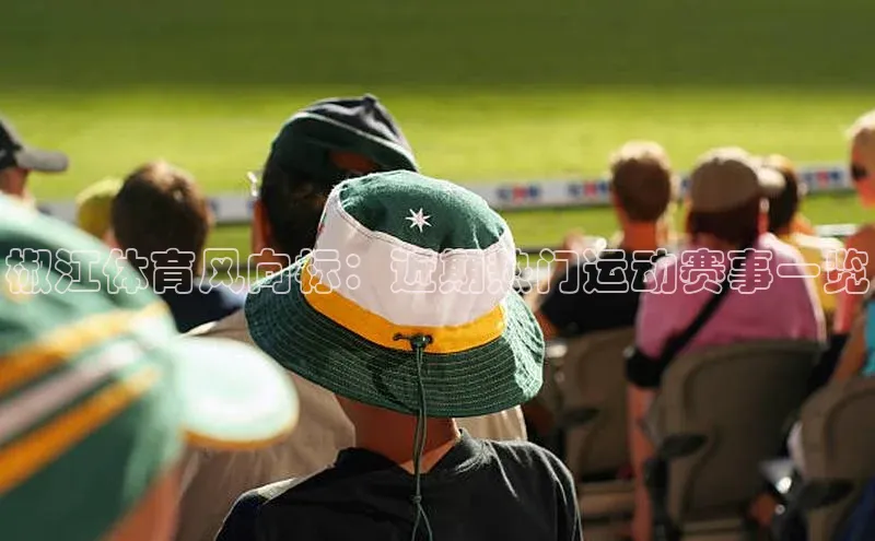 乐虎官方国际入口