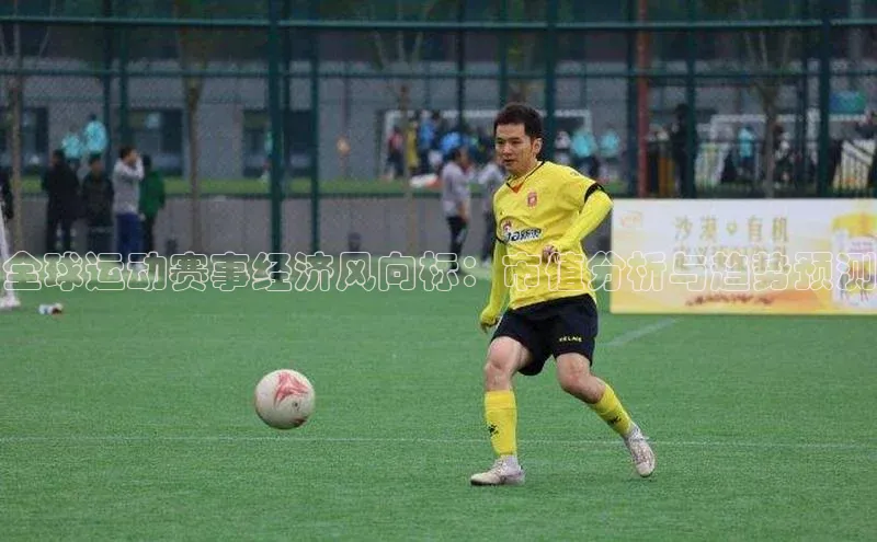 国际乐虎vip官网下载